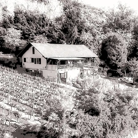 Du Weinbaum Apartment *