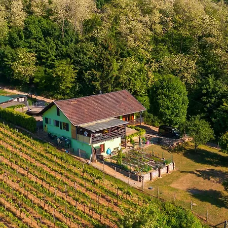 Du Weinbaum Bergheim